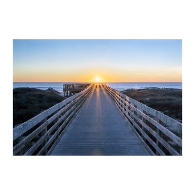 Into the Light
