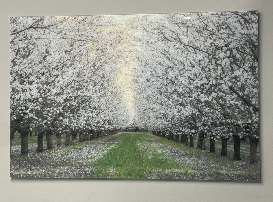 Blossom Trail