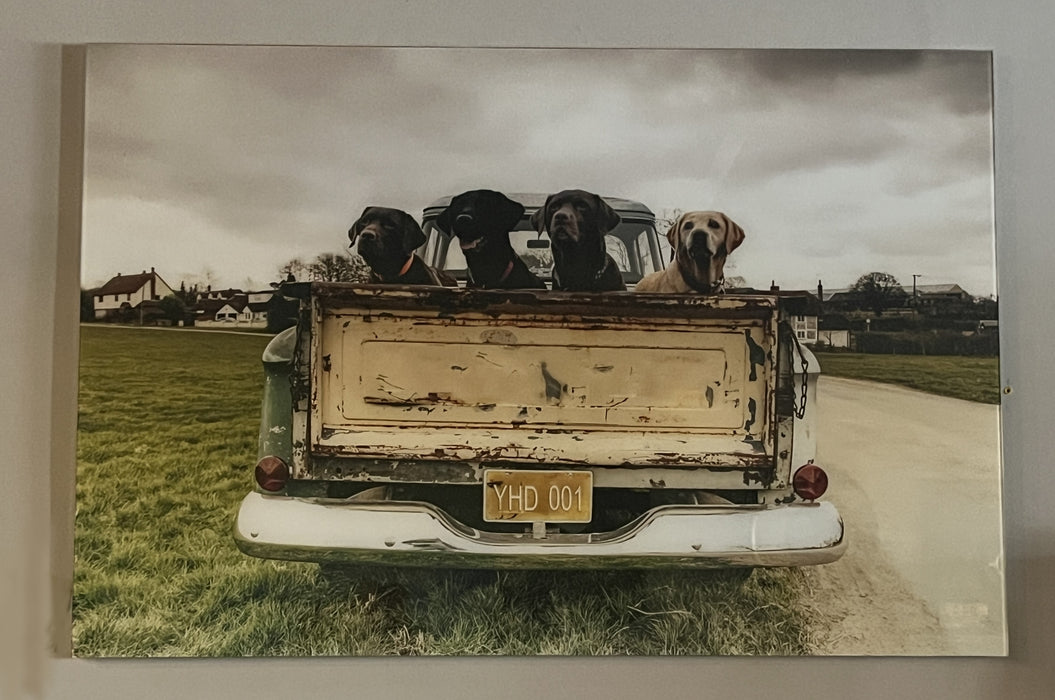 Old Friends
