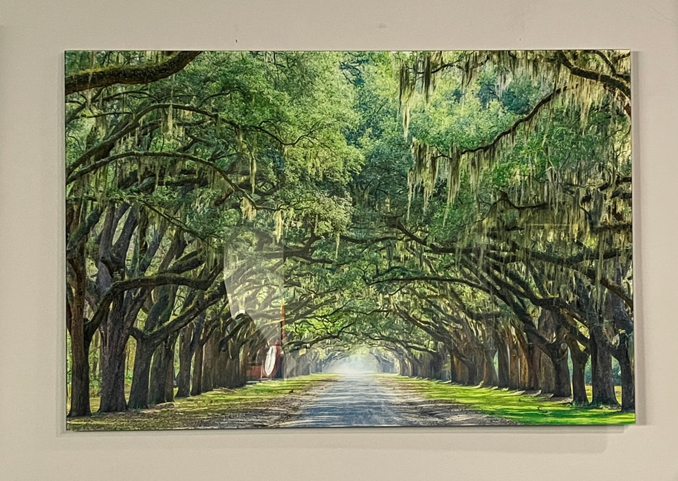 Savannah