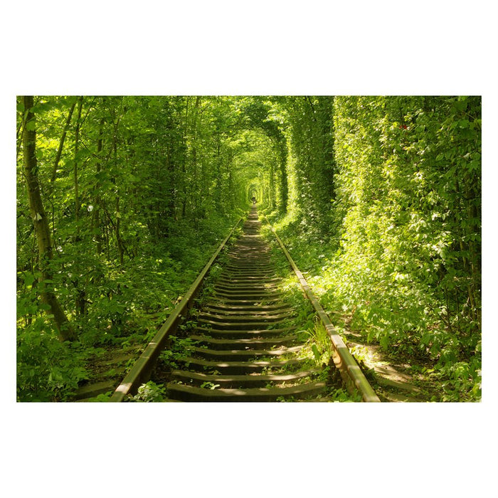 Tunnel of Love